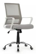 Кресло Riva Chair Mint RCH 1029MW Белый пластик/Серый