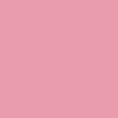 pink_pantone_197c_1